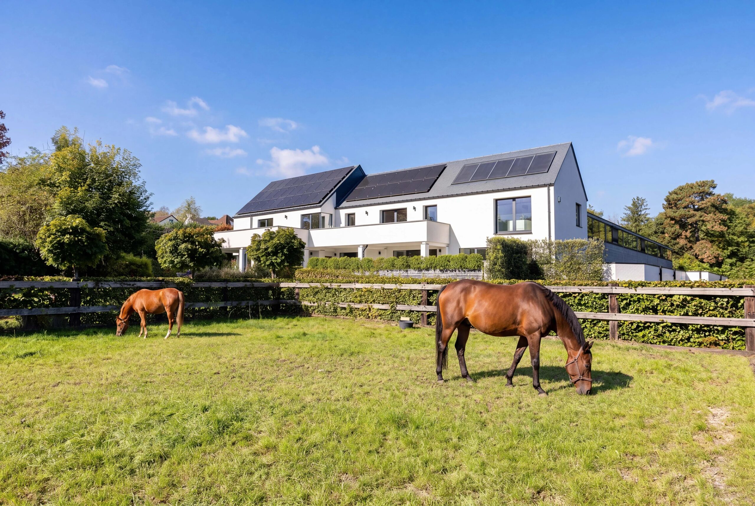 Barnes Brussels - Brabant 87265313